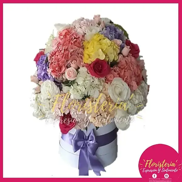 floristeria-expresion-10.jpg Caja tipo hongo en hortensias y rosas - Imagen 1