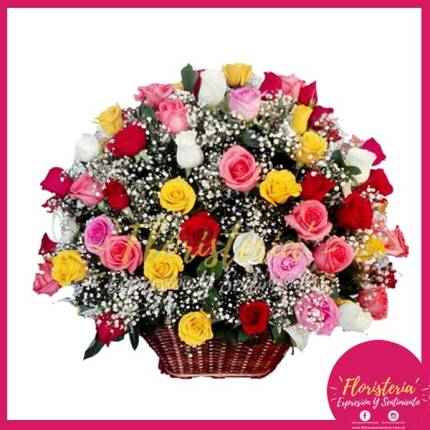 Canasta Tropical en Rosas