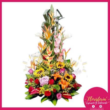 Ramo Triangular Exótico Grande