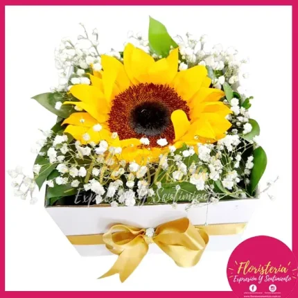 Caja Cuadrada Con Girasol Adornos C01