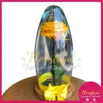 Cúpula Rombo de Rosa Preservada P3