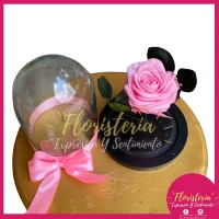 Cúpula Mini de Rosa Preservada P6