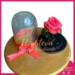 Cúpula Mini de Rosa Preservada P6 - Imagen 8